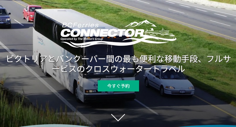 「ビクトリアのシャチウォッチング」徹底ガイド 【旅の大事典】